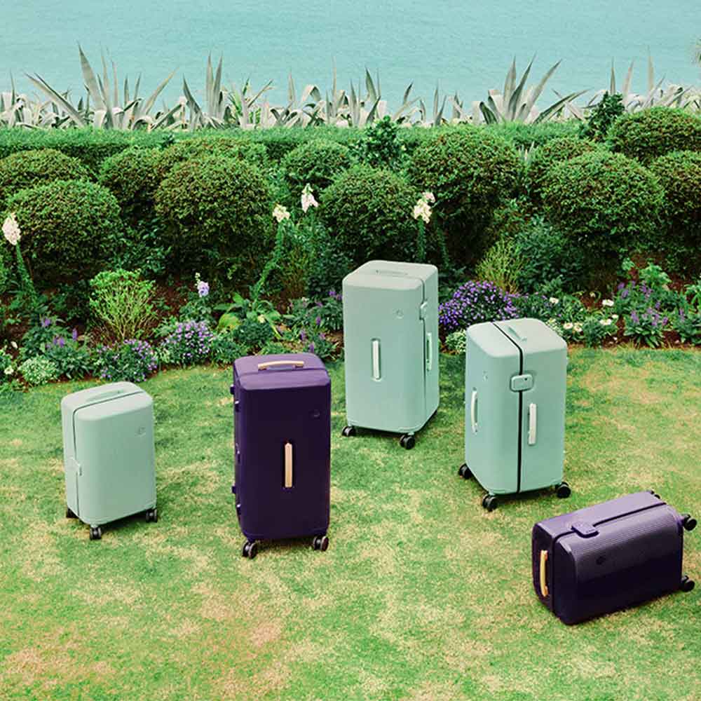 PISTACHIO STRIPED 2 TRUNK / LIQUID PURPLE