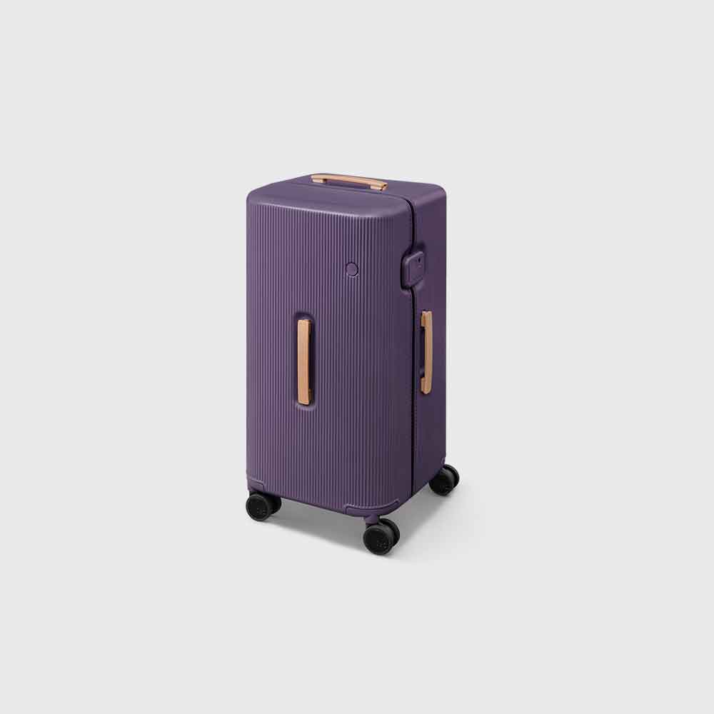 PISTACHIO STRIPED 2 TRUNK / LIQUID PURPLE