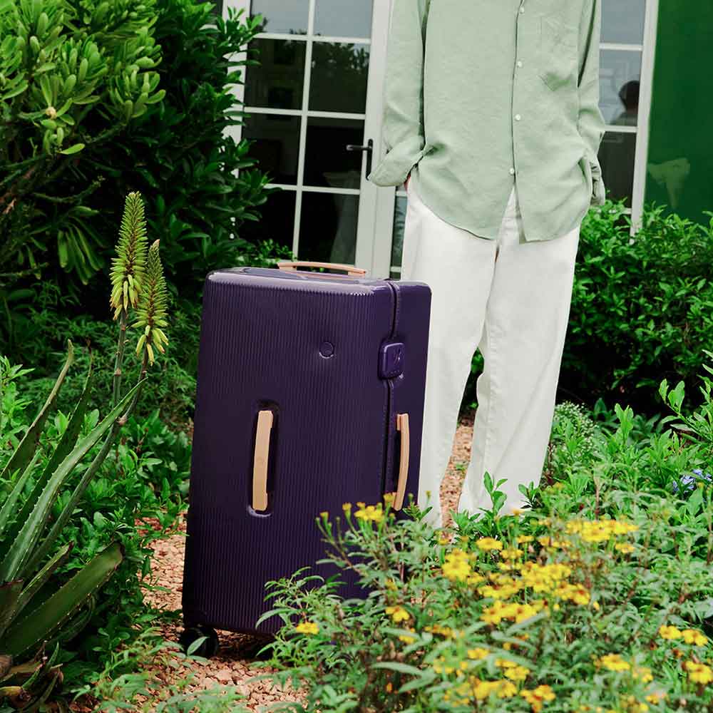 PISTACHIO STRIPED 2 TRUNK / LIQUID PURPLE