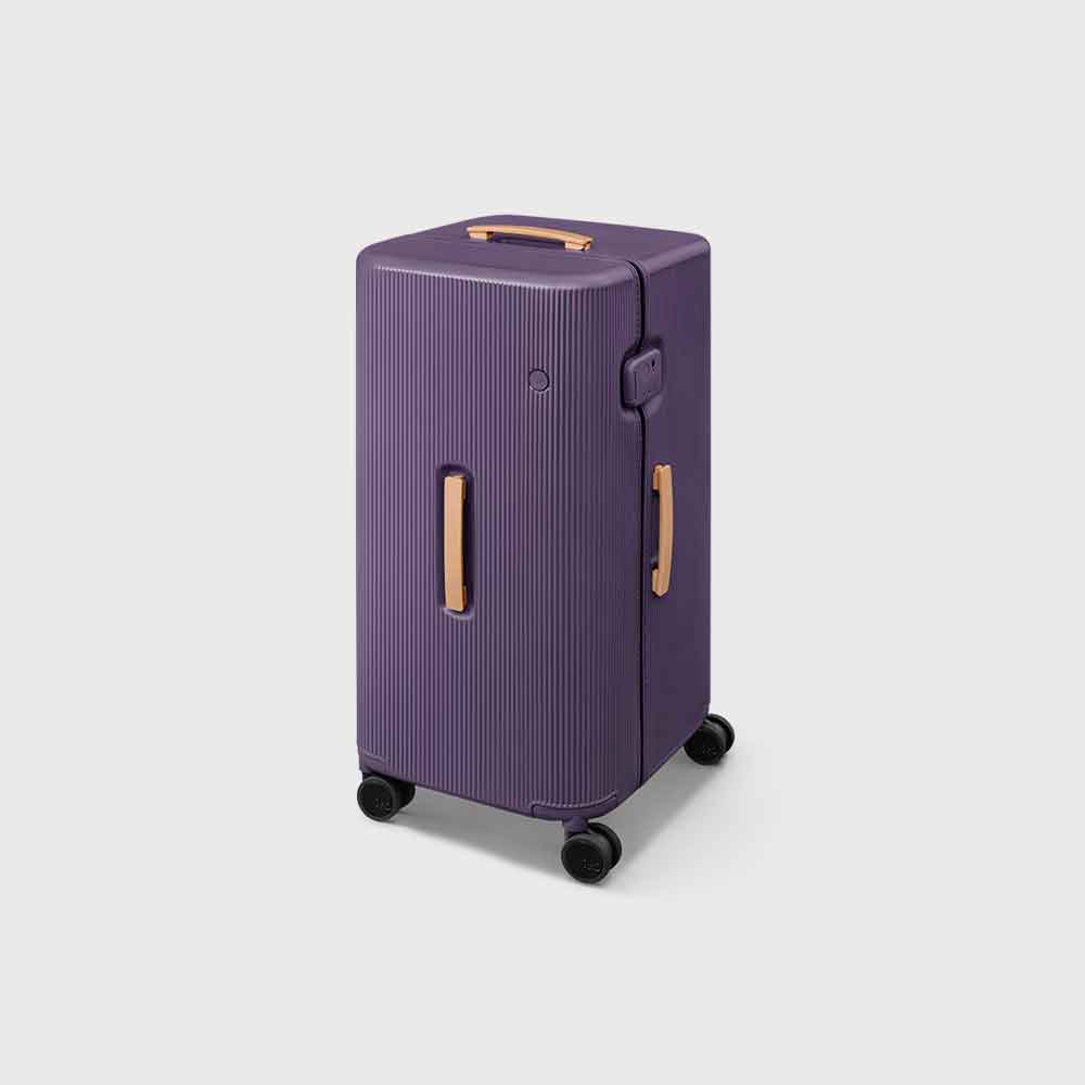 PISTACHIO STRIPED 2 TRUNK / LIQUID PURPLE