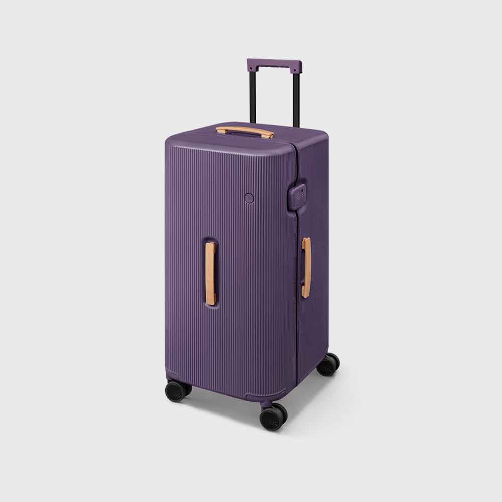 PISTACHIO STRIPED 2 TRUNK / LIQUID PURPLE