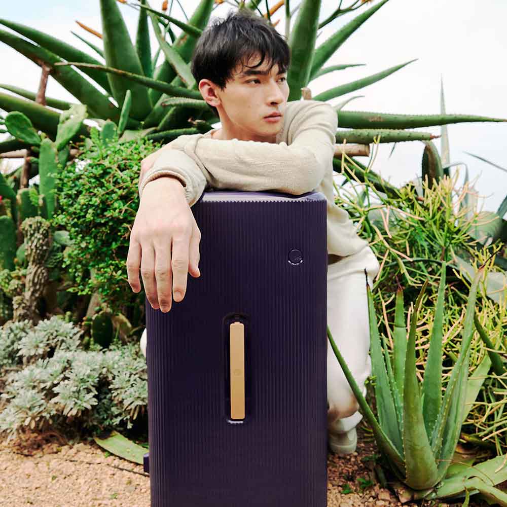 PISTACHIO STRIPED 2 TRUNK / LIQUID PURPLE