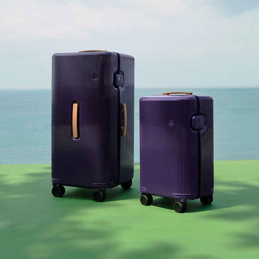 PISTACHIO STRIPED 2 TRUNK / LIQUID PURPLE