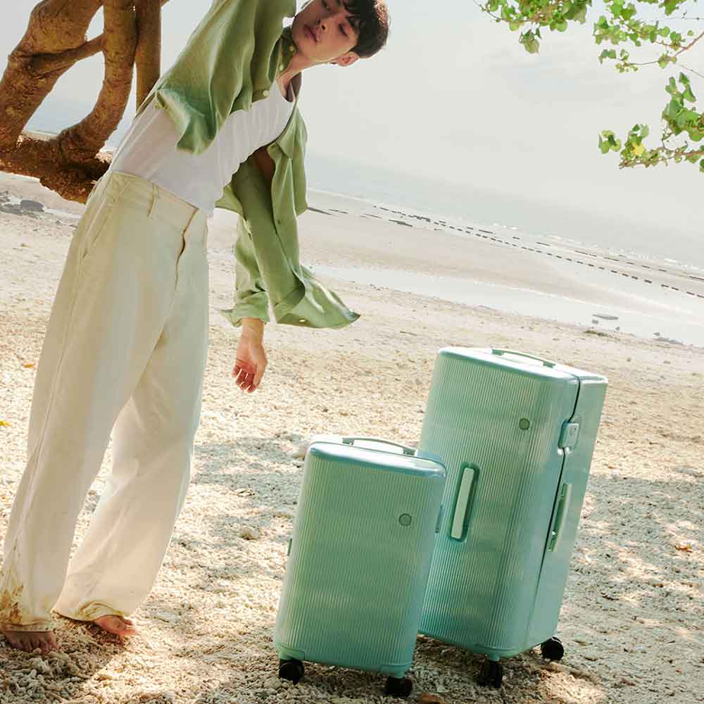 PISTACHIO STRIPED 2 TRUNK / CRYSTAL GREEN