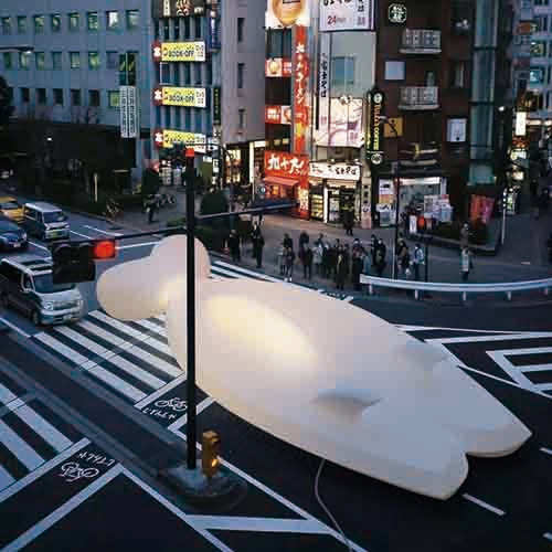surfboard koi