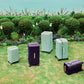 PISTACHIO STRIPED 2 TRUNK / LIQUID PURPLE