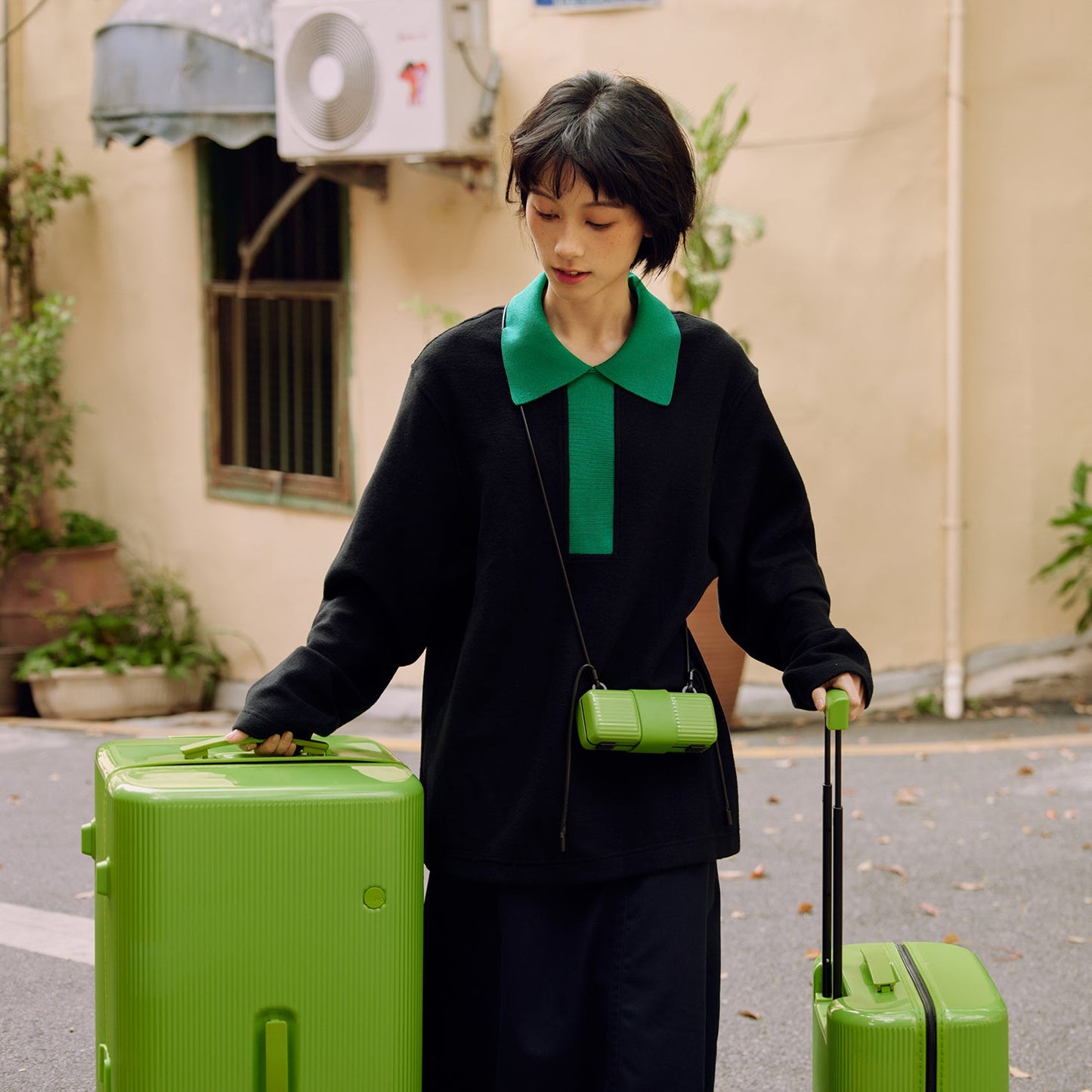 PISTACHIO STRIPED 2 TRUNK / ECTOTHERM GREEN