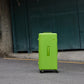 PISTACHIO STRIPED 2 TRUNK / ECTOTHERM GREEN
