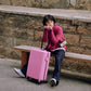 PISTACHIO STRIPED 2 / FAIRYLAND PINK / 20inch