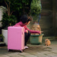 PISTACHIO STRIPED 2 / FAIRYLAND PINK / 20inch