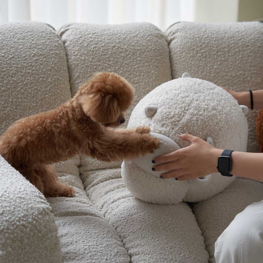 Baaah Sheep cushion