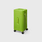 PISTACHIO STRIPED 2 TRUNK / ECTOTHERM GREEN