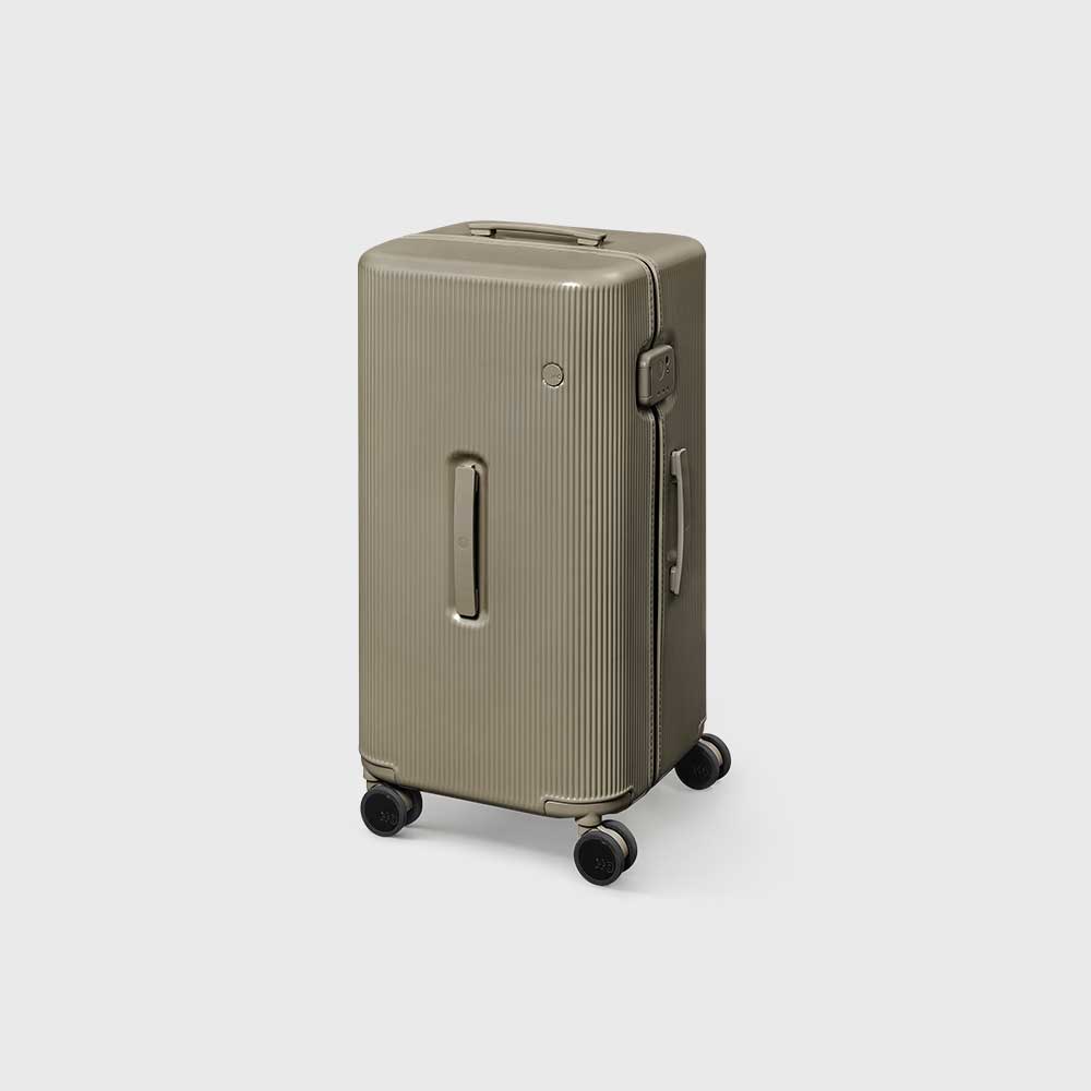 PISTACHIO STRIPED 2 TRUNK / PLAIN GREY