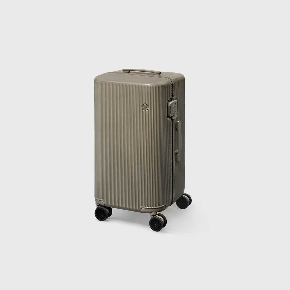 PISTACHIO STRIPED 2 TRUNK / PLAIN GREY
