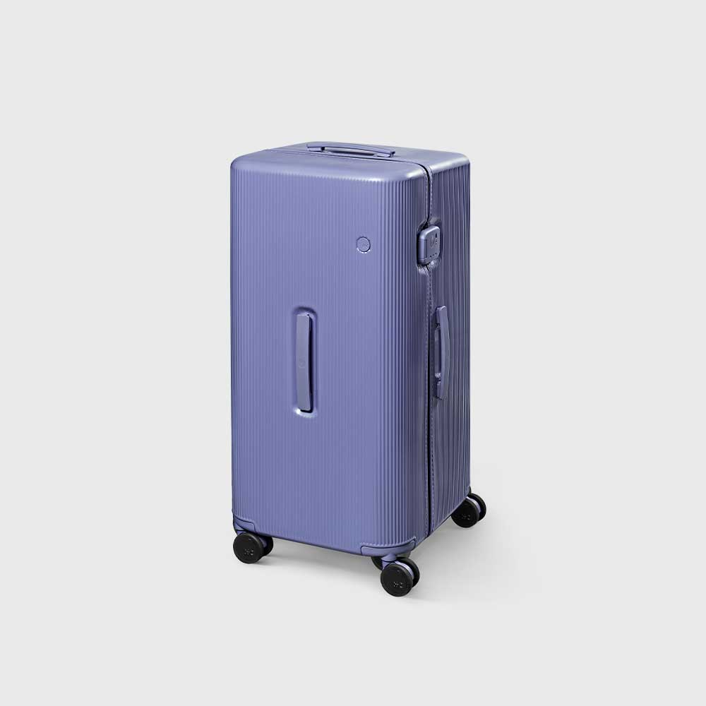 PISTACHIO STRIPED 2 TRUNK / DIGITAL PURPLE
