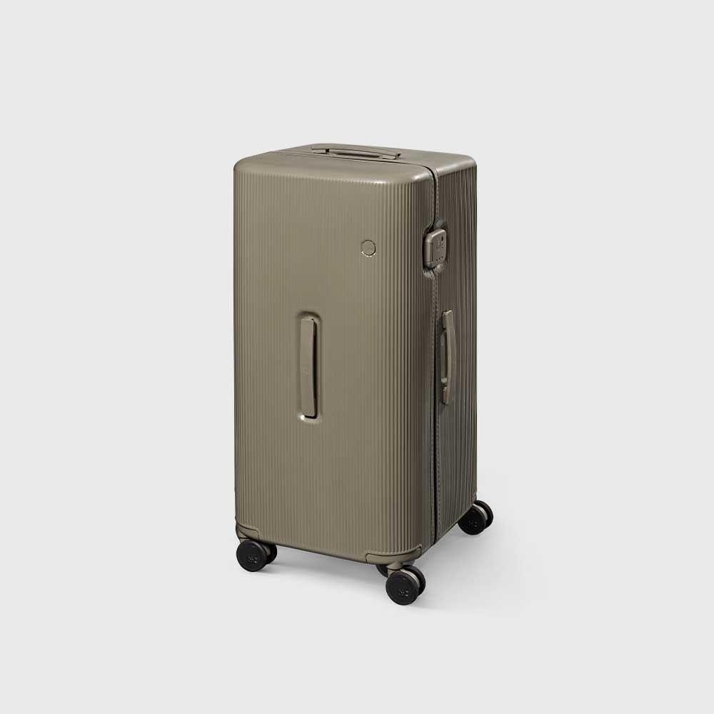 PISTACHIO STRIPED 2 TRUNK / PLAIN GREY