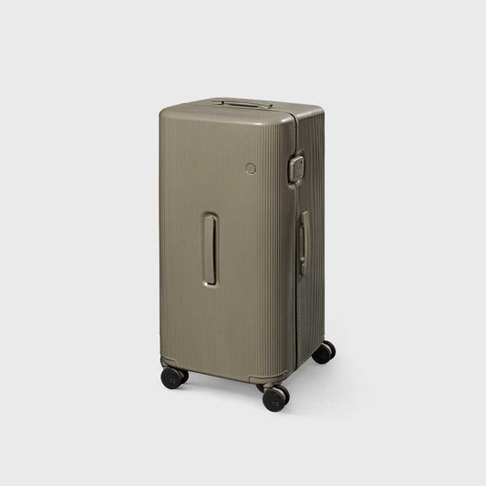 PISTACHIO STRIPED 2 TRUNK / PLAIN GREY