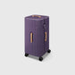 PISTACHIO STRIPED 2 TRUNK / LIQUID PURPLE