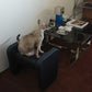 MAP Stool (black)