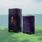PISTACHIO STRIPED 2 TRUNK / LIQUID PURPLE