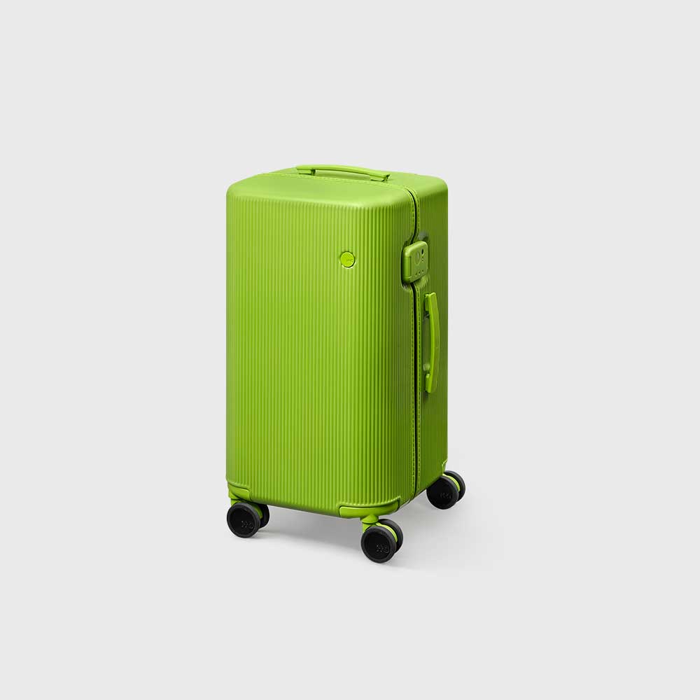 PISTACHIO STRIPED 2 TRUNK / ECTOTHERM GREEN