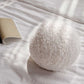 Sesame Ball Cushion 麻球抱枕