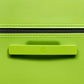 PISTACHIO STRIPED 2 TRUNK / ECTOTHERM GREEN