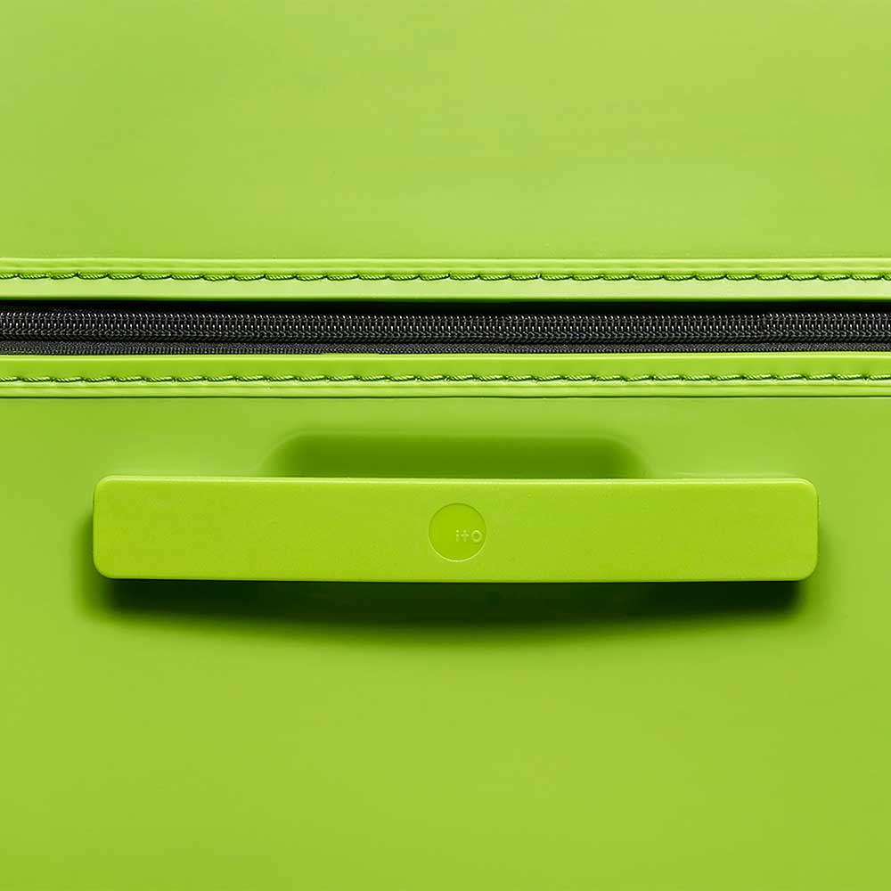 PISTACHIO STRIPED 2 TRUNK / ECTOTHERM GREEN