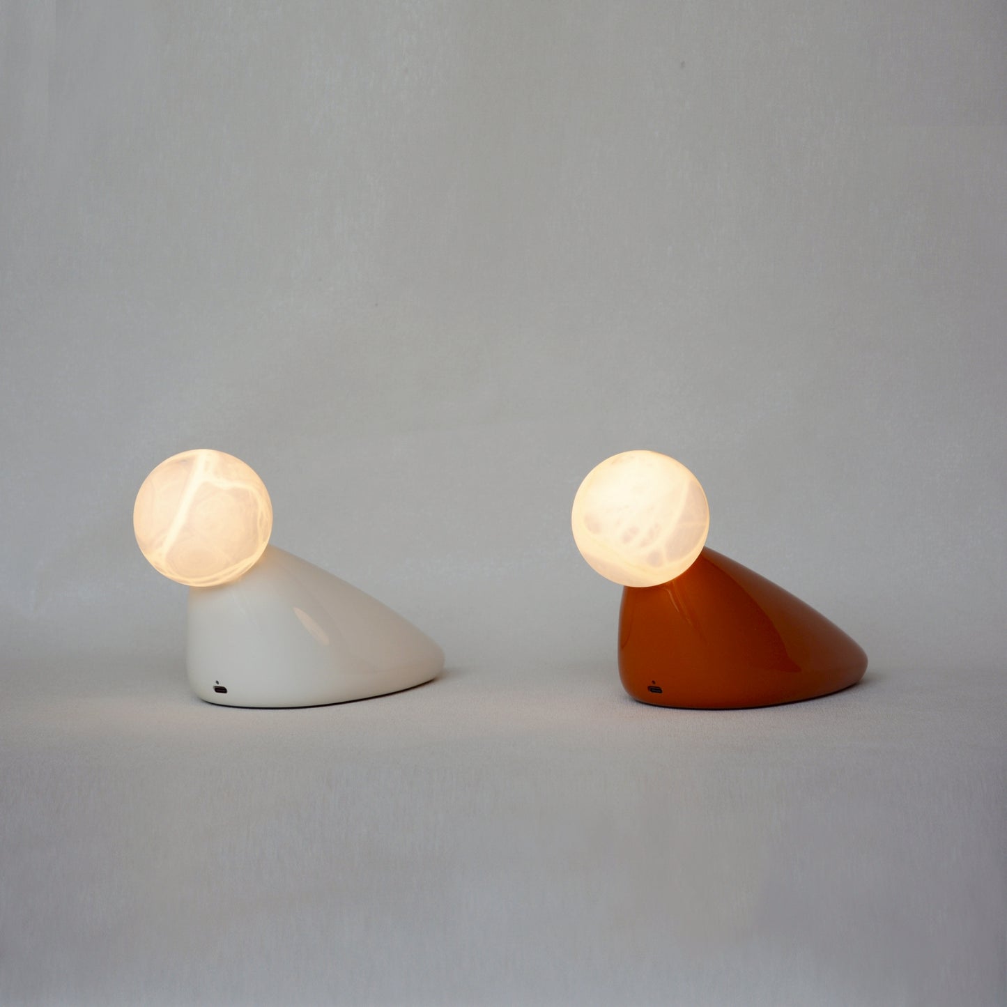 TIWUWORKS 水鳥台燈 Water Bird table light