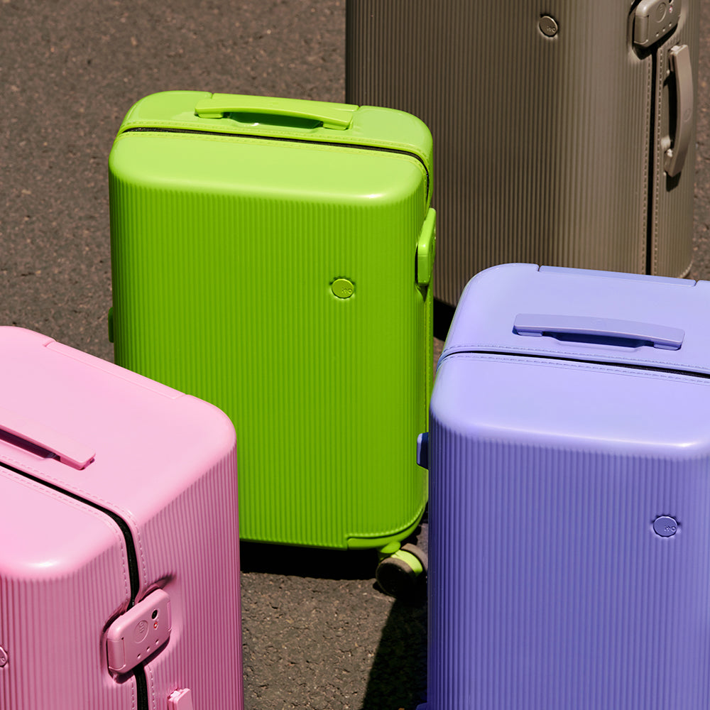PISTACHIO STRIPED 2 TRUNK / ECTOTHERM GREEN