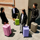 PISTACHIO STRIPED 2 TRUNK / ECTOTHERM GREEN