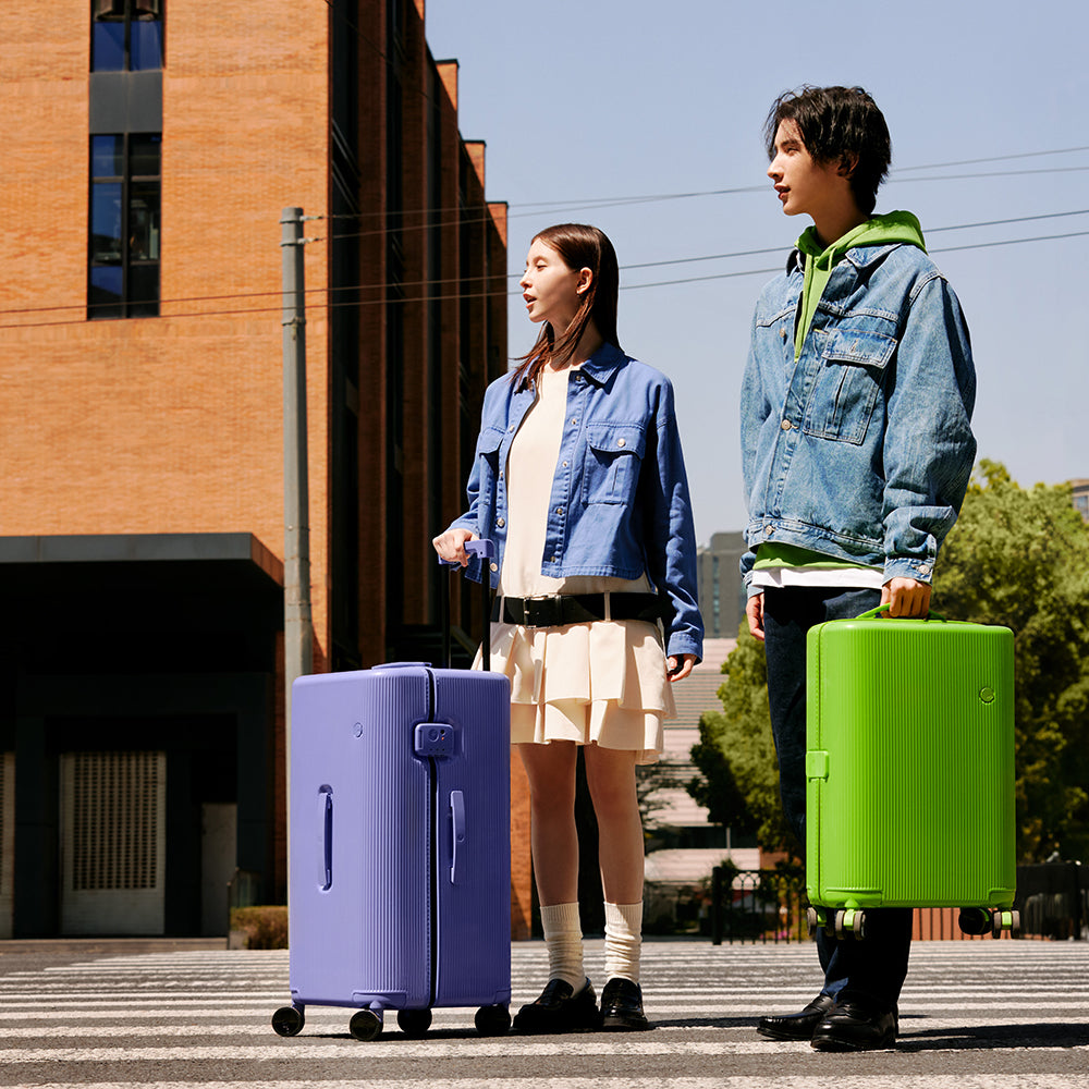 PISTACHIO STRIPED 2 TRUNK / ECTOTHERM GREEN