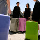 PISTACHIO STRIPED 2 TRUNK / PLAIN GREY