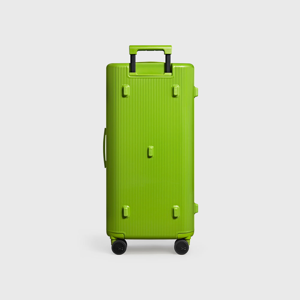 PISTACHIO STRIPED 2 TRUNK / ECTOTHERM GREEN