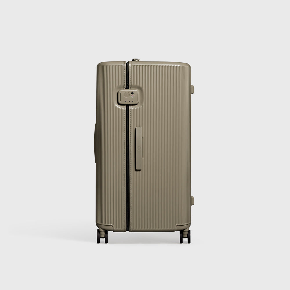 PISTACHIO STRIPED 2 TRUNK / PLAIN GREY