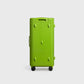 PISTACHIO STRIPED 2 TRUNK / ECTOTHERM GREEN