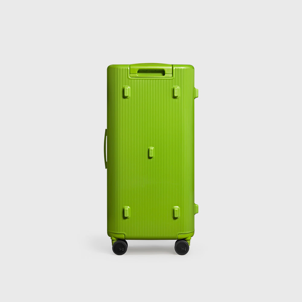 PISTACHIO STRIPED 2 TRUNK / ECTOTHERM GREEN