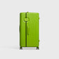 PISTACHIO STRIPED 2 TRUNK / ECTOTHERM GREEN