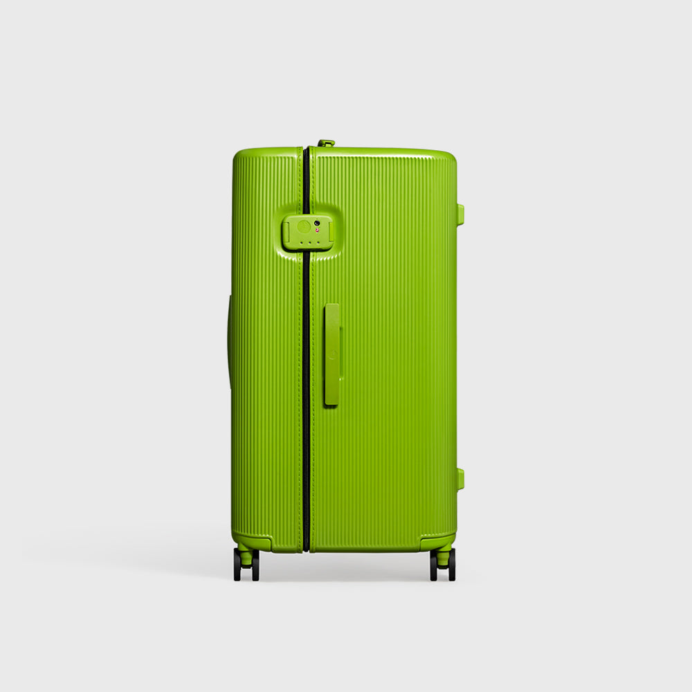 PISTACHIO STRIPED 2 TRUNK / ECTOTHERM GREEN