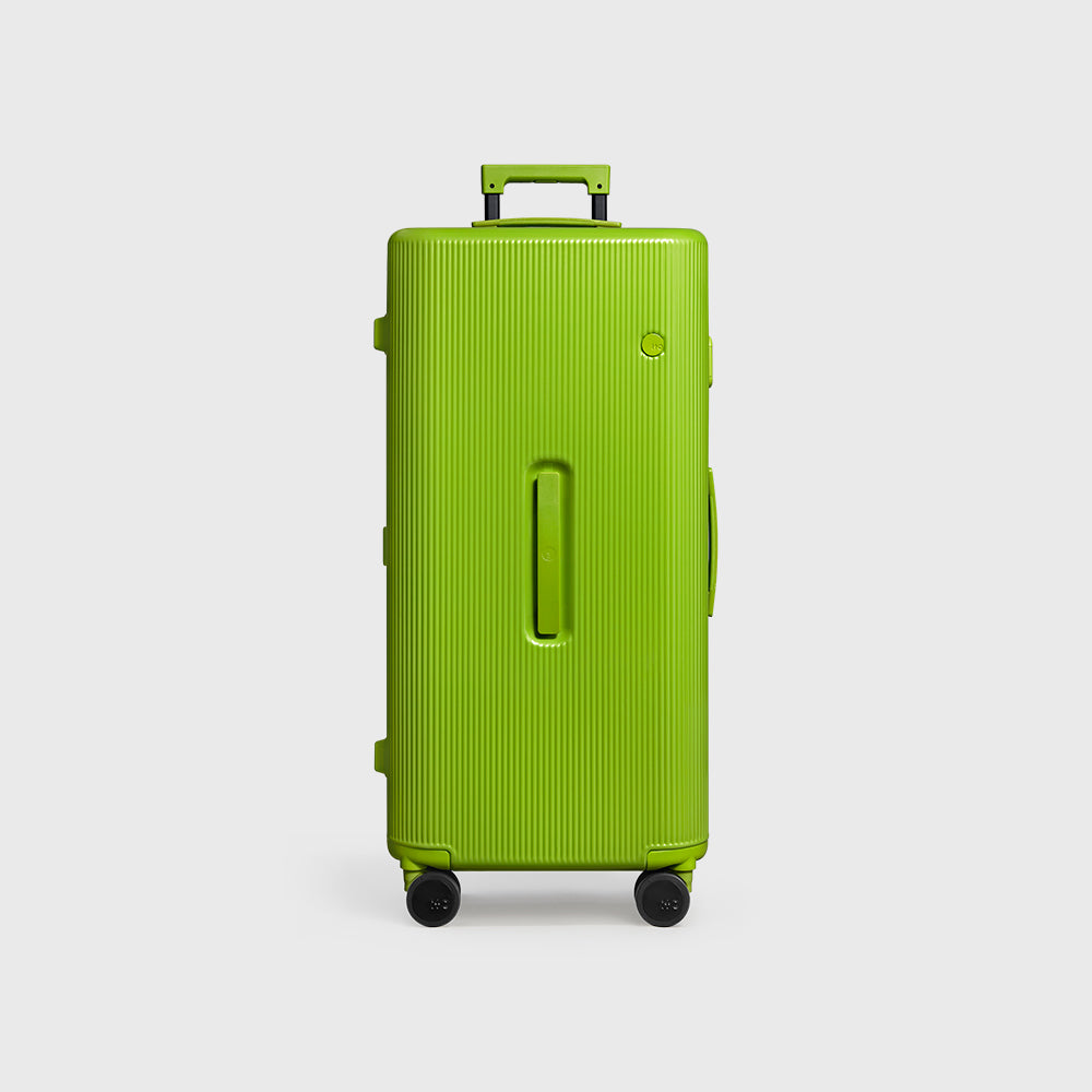 PISTACHIO STRIPED 2 TRUNK / ECTOTHERM GREEN