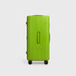 PISTACHIO STRIPED 2 TRUNK / ECTOTHERM GREEN