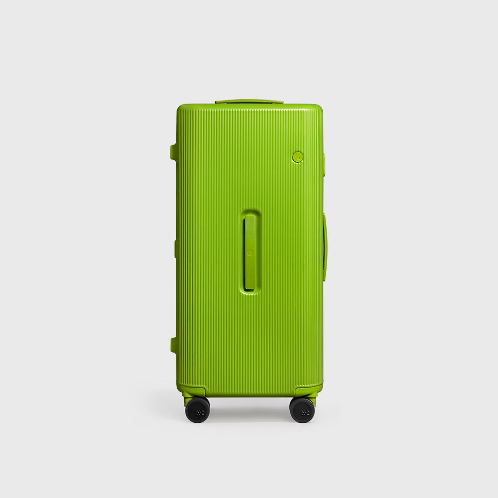 PISTACHIO STRIPED 2 TRUNK / ECTOTHERM GREEN