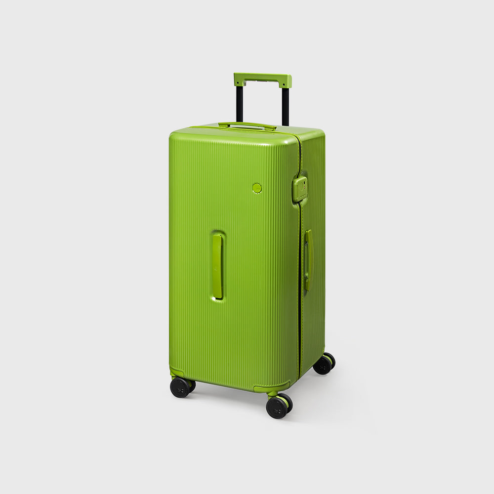 PISTACHIO STRIPED 2 TRUNK / ECTOTHERM GREEN