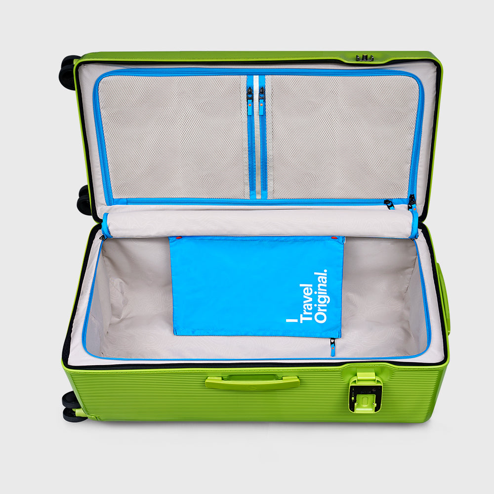 PISTACHIO STRIPED 2 TRUNK / ECTOTHERM GREEN